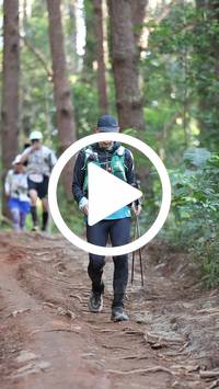 BIB:  <button type="button" onclick="openModal(26569886)" class="btn btn-primary btn-sm float-right" data-toggle="modal" data-target=".modal-high-quality">
                <i class="fa fa-download"></i> Download
                </button>